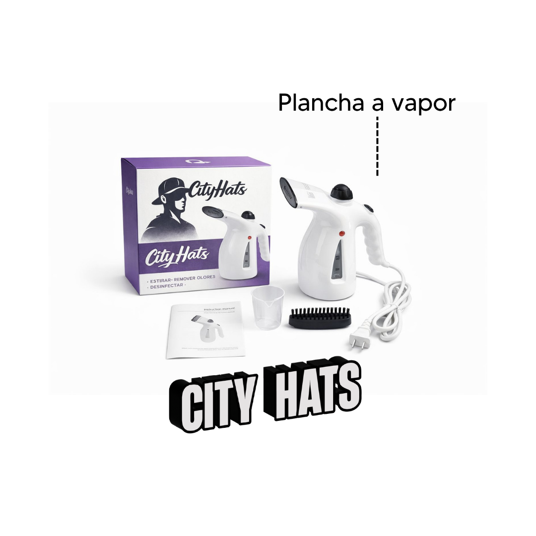 Plancha a vapor